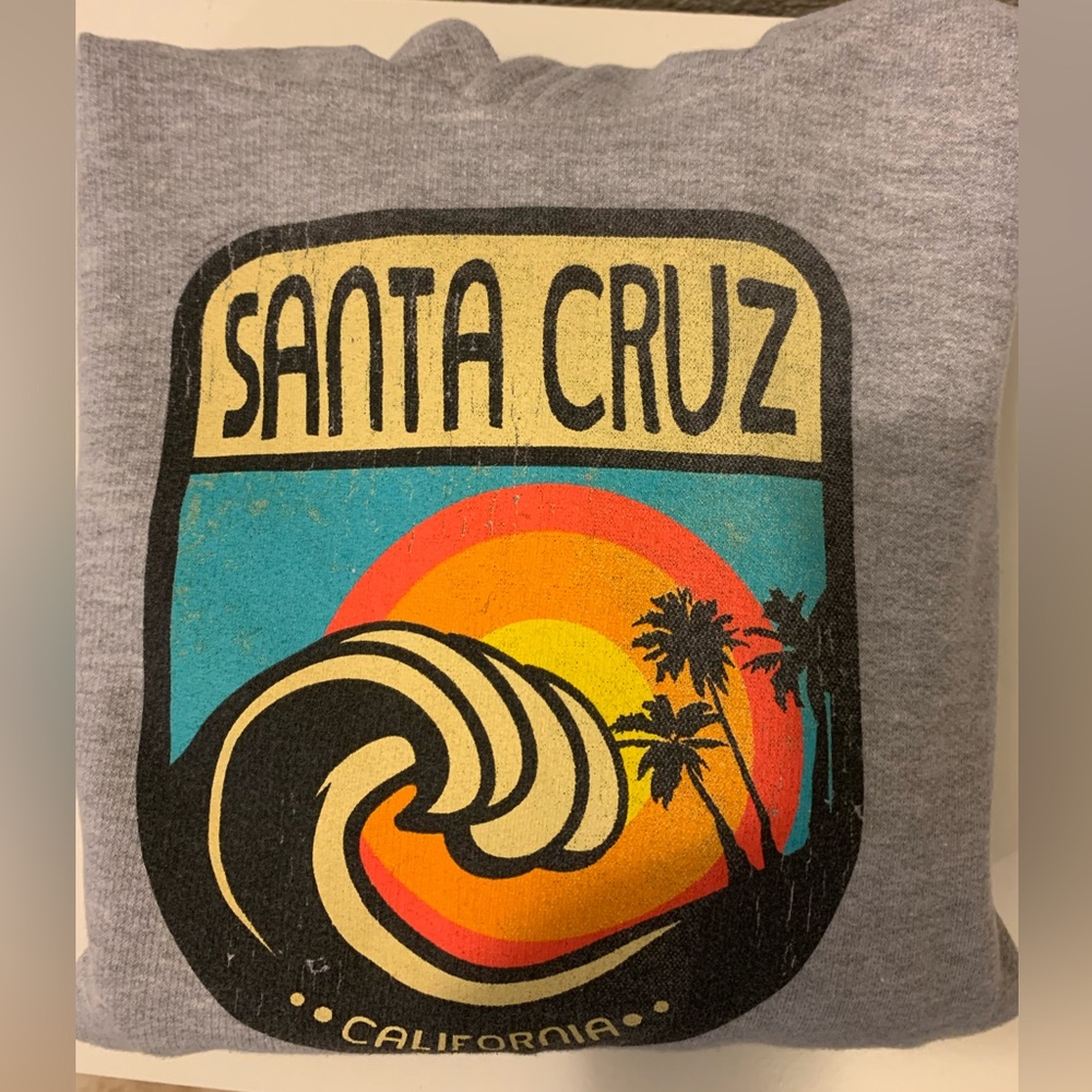 Santa Cruz California logo hoody, size Youth Large.
